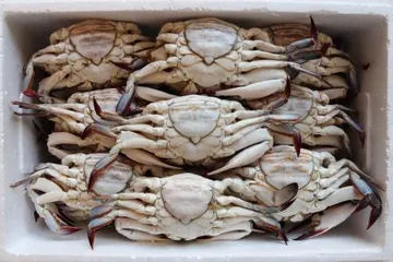 국내산 급냉 알배기 암꽃게 3KG