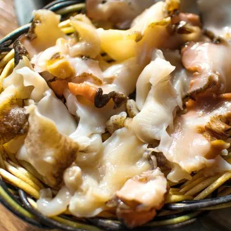 남해안 자연산 제철 생물 뿔소라 1kg 이미지