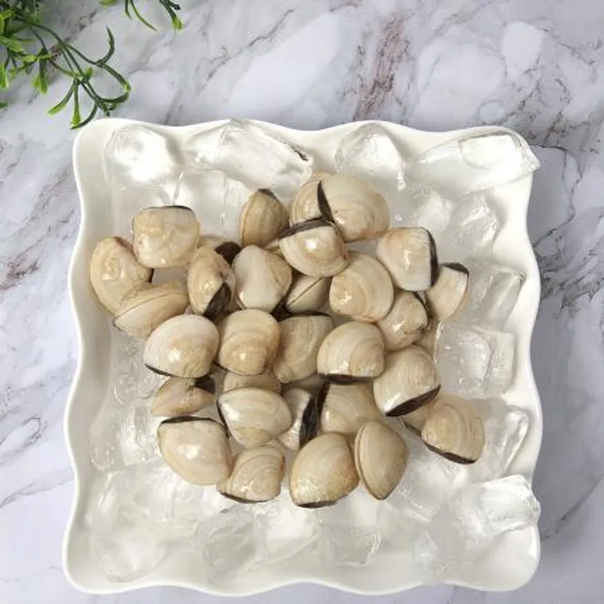 생 백합조개 40/60 사이즈 1kg 키친보이즈 이미지