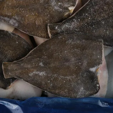 손질 가자미 200/300 4.5kg 이미지