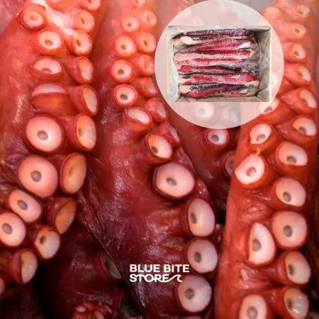자숙문어 다리 10kg 냉동 피문어 8미 1100/1500