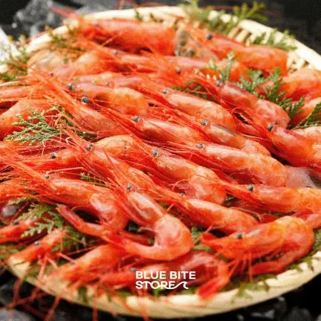 국내산 동해안 단새우 (대) 아마에비 단새우회 2kg 이미지