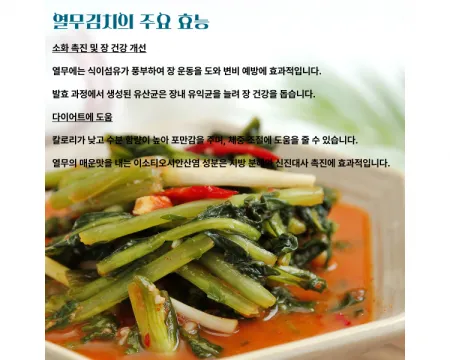 국내산 열무물김치450gx 5개 이미지