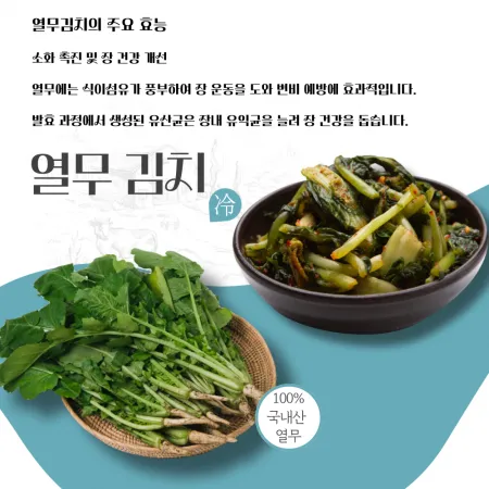 국내산 열무물김치450gx 10개 이미지