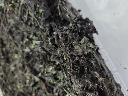 남해안 건파래 돌자반 김자반 250g이상 파래무침재료 이미지