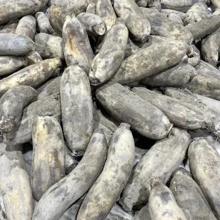 국내산 흙연근 500g
