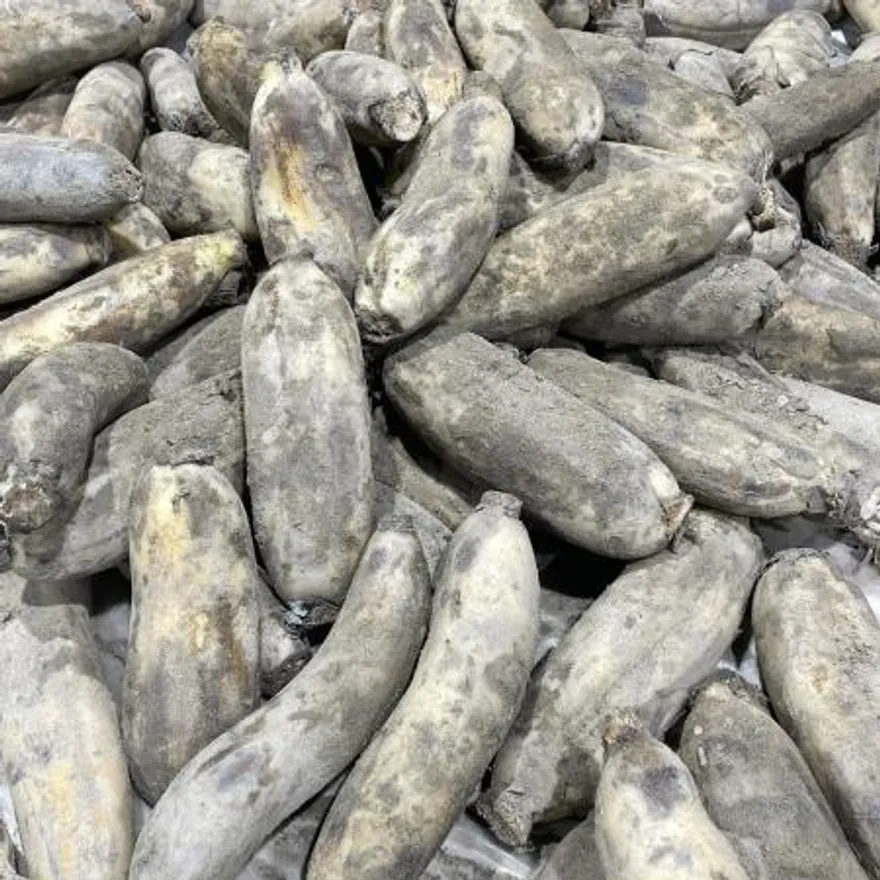 국내산 흙연근 500g 이미지