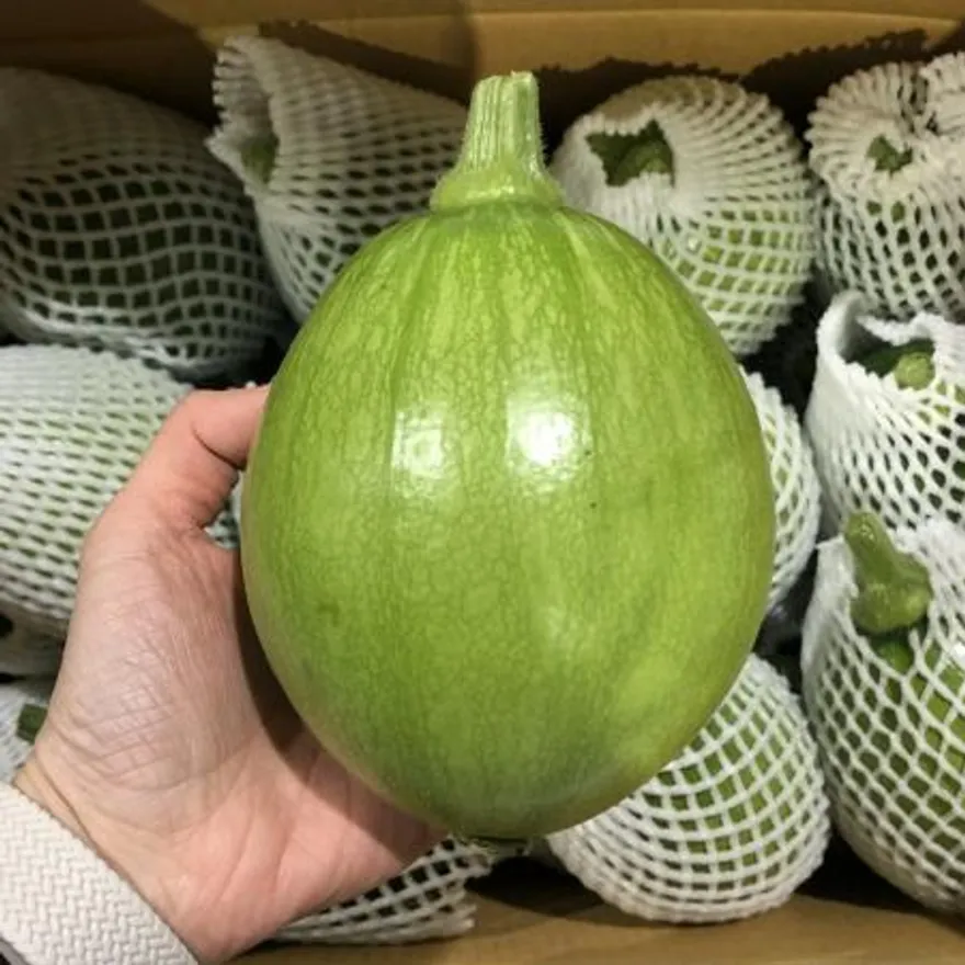 국내산 못난이 둥근호박 5kg (8~15입) 이미지