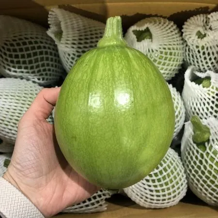 국내산 못난이 둥근호박 5kg (8~15입)  이미지