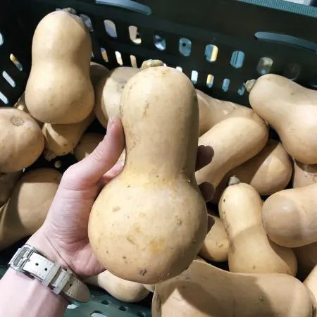 못난이 땅콩호박 10kg 이미지