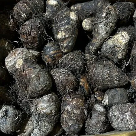 국내산 곡성 알토란 1kg