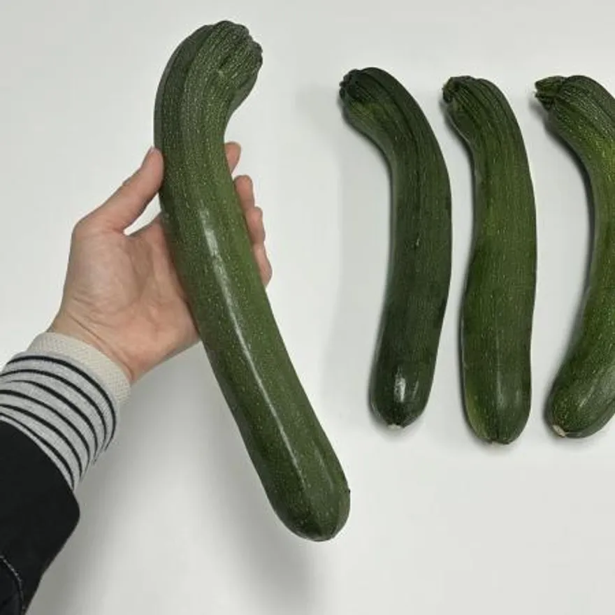 쥬키니호박 5kg (10~15입) 이미지