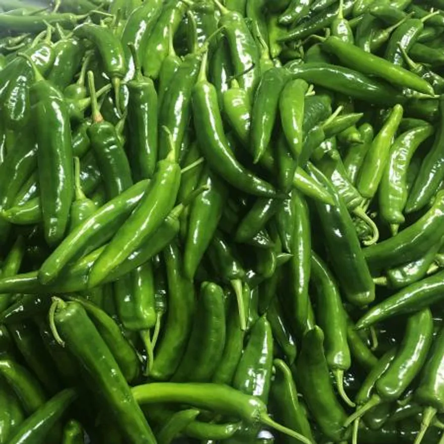 국내산 아삭이 오이맛고추 150g 이미지