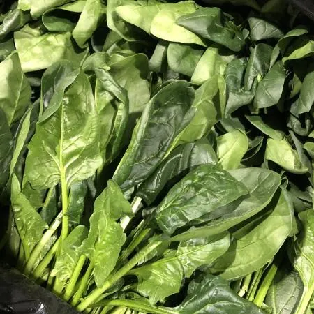 국내산 시금치 500g 이미지