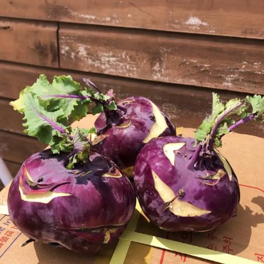 콜라비 (2kg/국내산) 이미지