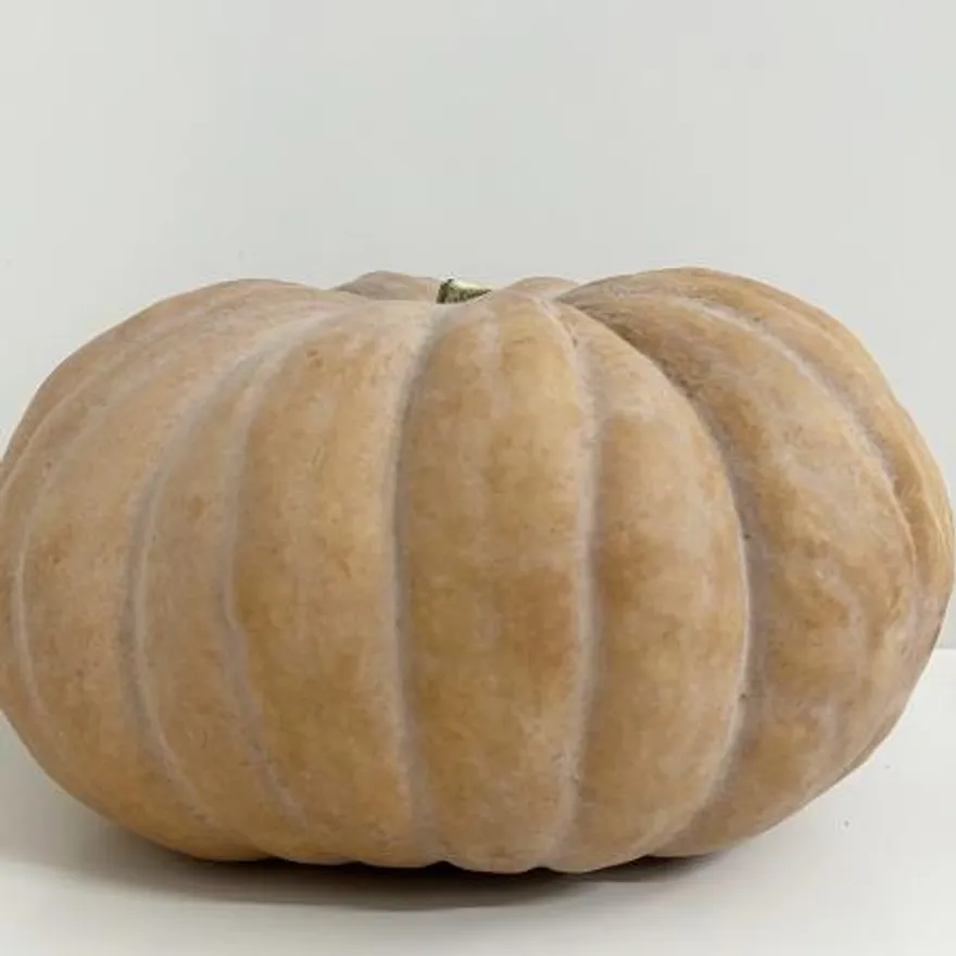 늙은호박 (3.5~5kg내외/국내산) 1통 이미지