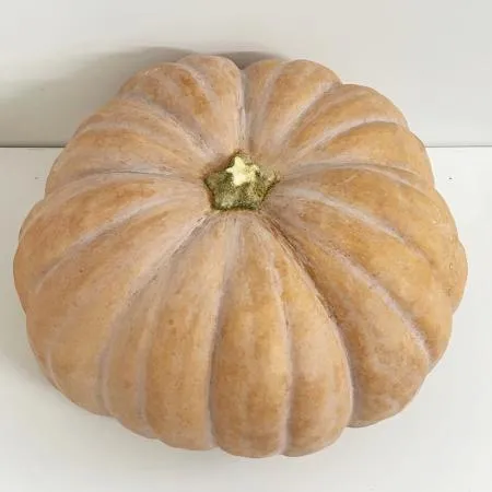 국내산 깐 손질 늙은호박 죽용 5kg 이미지