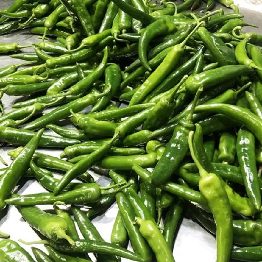 국내산 아삭이 오이맛고추 300g 이미지