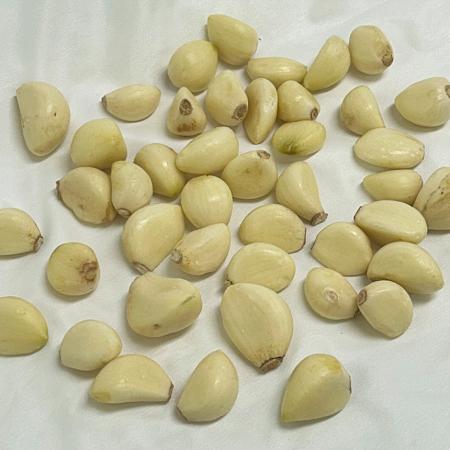 파지 깐마늘 (1kg/국내산) - 최저가 사업자 식자재 | 식봄