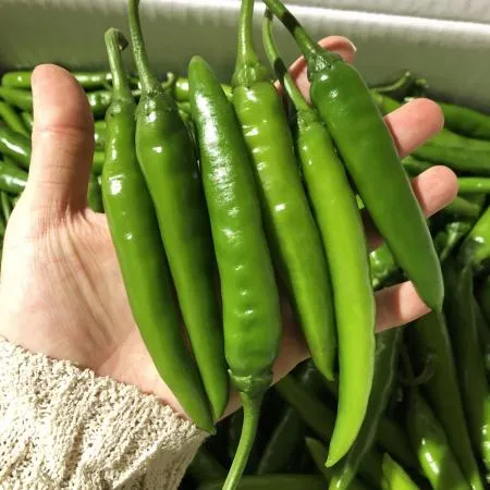 청양고추 (특/300g/국내산)
