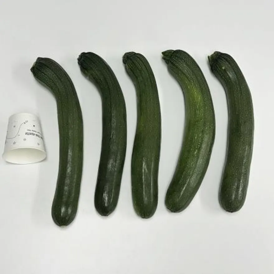 쥬키니호박 1개 이미지
