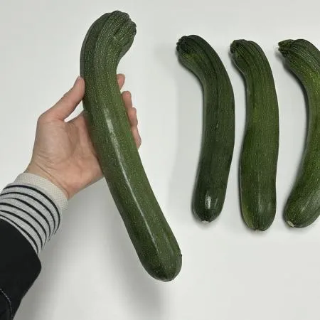 쥬키니호박 1개 이미지