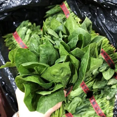 국내산 시금치 500g 이미지