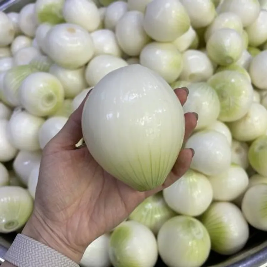 합천 깐양파 (대/1kg/국내산) 이미지