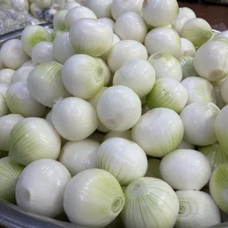 합천 깐양파 (대/1kg/국내산)