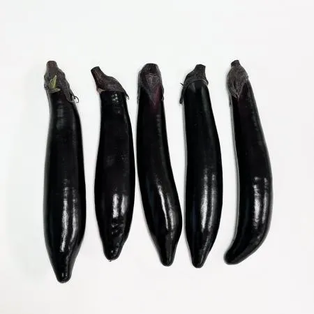 국내산 가지 2개 이미지