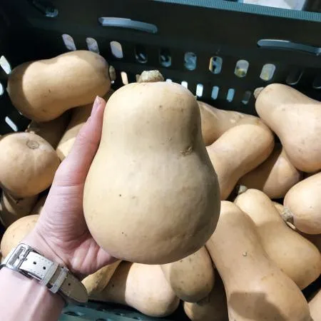 못난이 땅콩호박 10kg 이미지