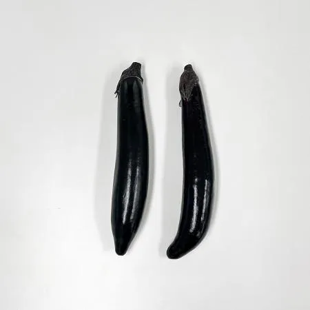 국내산 가지 2개