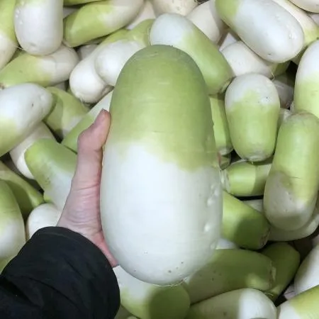 작은무 1입 (800g이하/국내산)