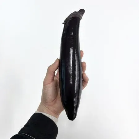 국내산 가지 1kg (6~10개) 이미지