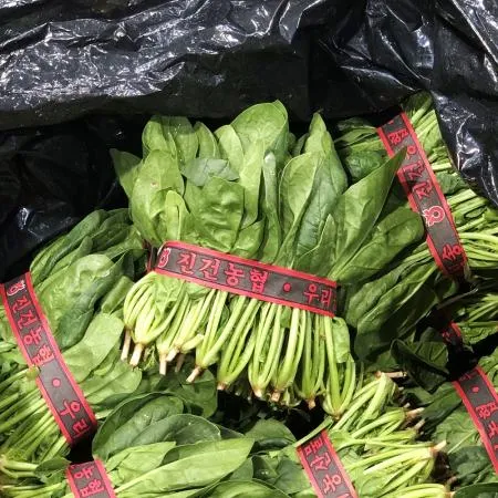 국내산 시금치 500g