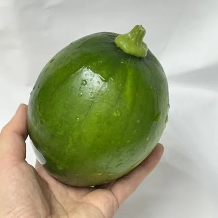 국내산 못난이 둥근호박 5kg (8~15입) 