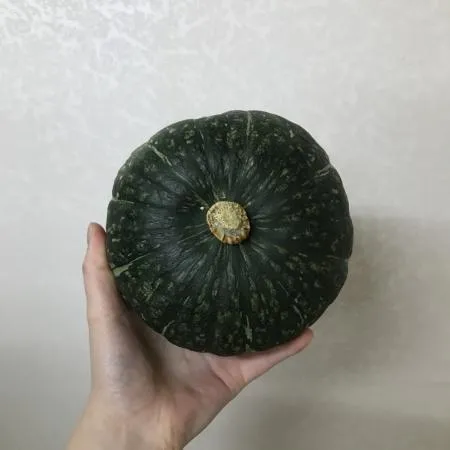 국내산 단호박 1통 (700g이상)