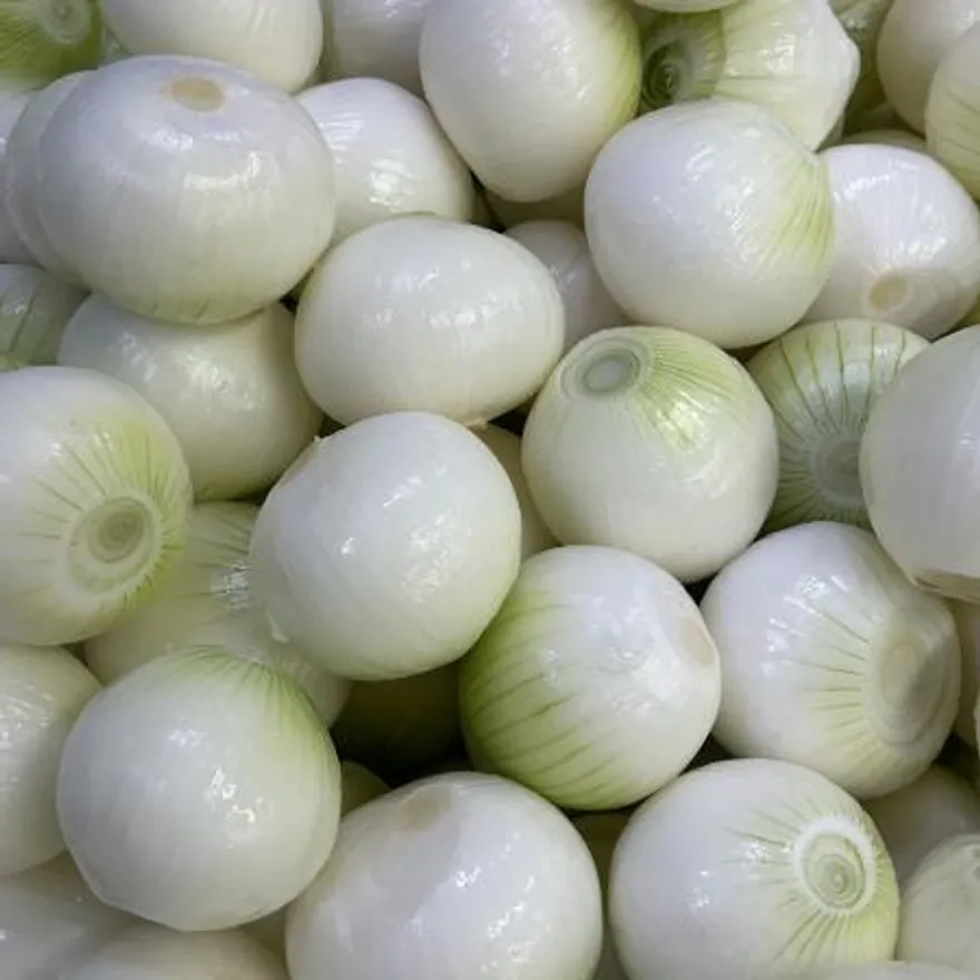 합천 깐양파 (대/1kg/국내산) 이미지