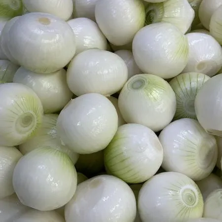 합천 깐양파 (대/1kg/국내산) 이미지