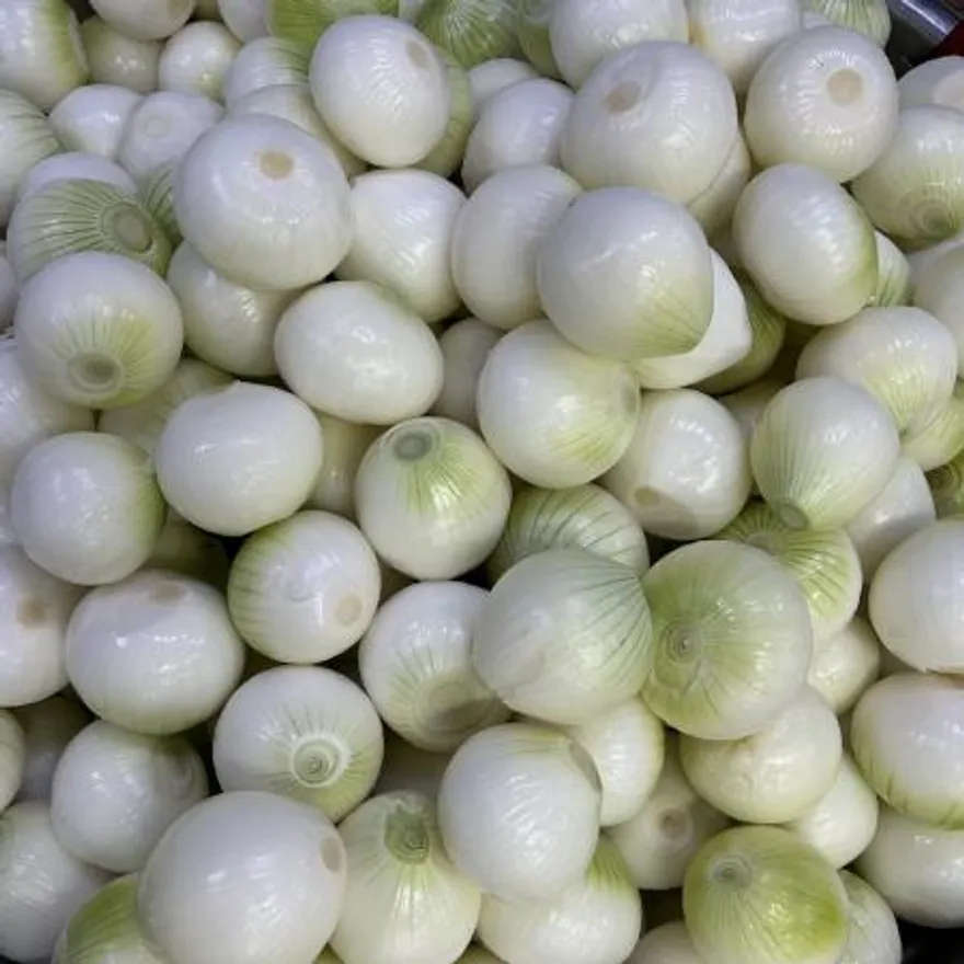 합천 깐양파 (대/1kg/국내산) 이미지
