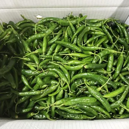 청양고추 (상/150g/국내산) 이미지
