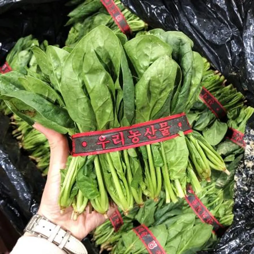 국내산 시금치 1kg 이미지