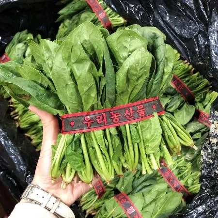 국내산 시금치 1kg 이미지