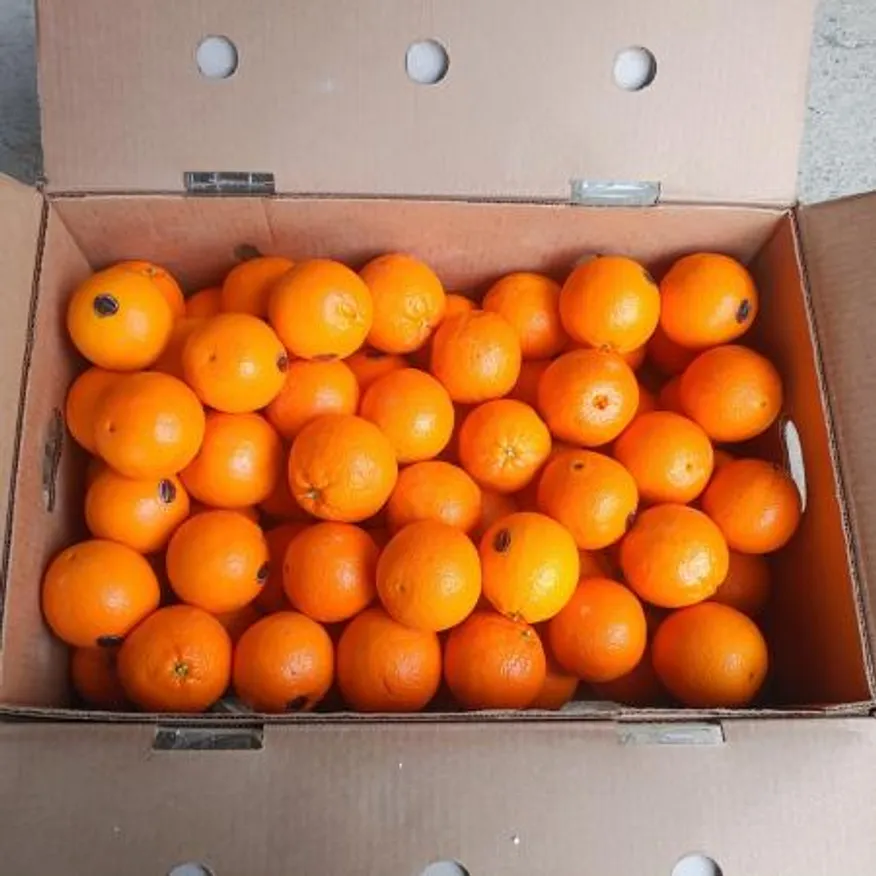 미국산 고당도 블랙라벨(퓨어스펙/썬키스트/엠팍) 오렌지 중소과 17kg내외 113수 (개당150g내외) 이미지