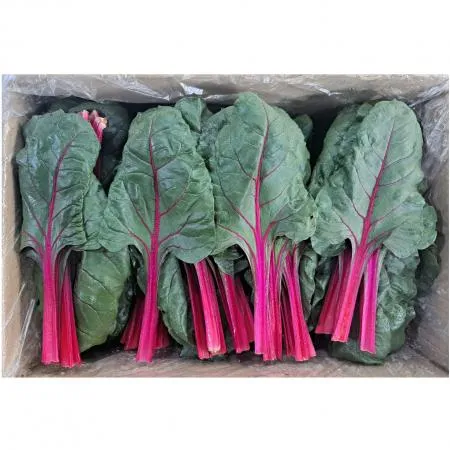적근대(특품) 2kg/BOX