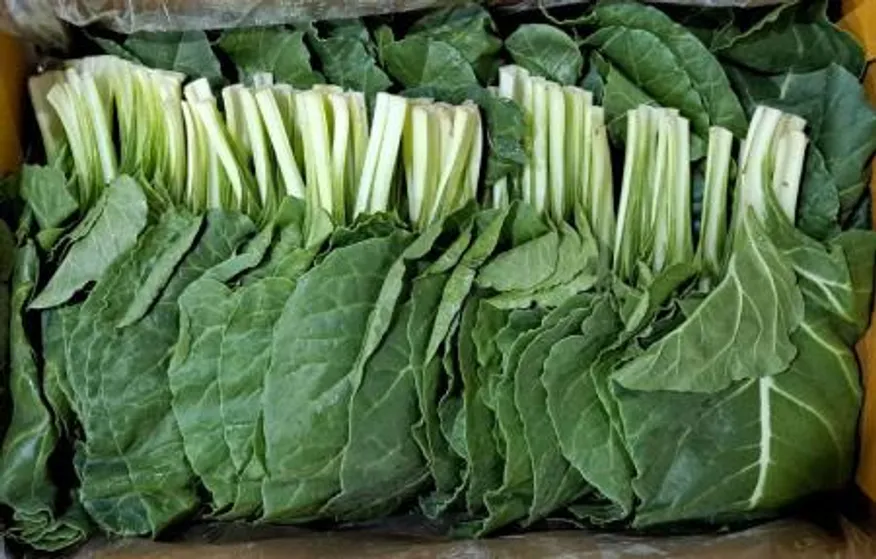청근대(특품) 4kg/BOX 이미지