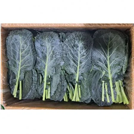 케일(국내산)2kg/BOX