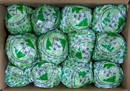양상추(포장) 12수/BOX 수입산
