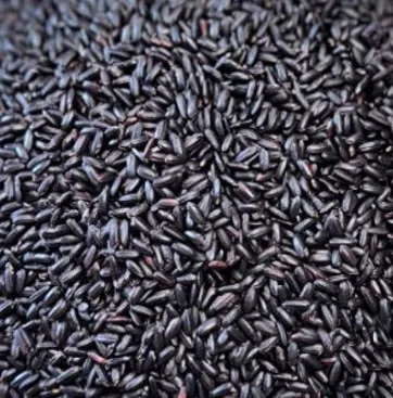 찰 흑미 1kg (국내산)