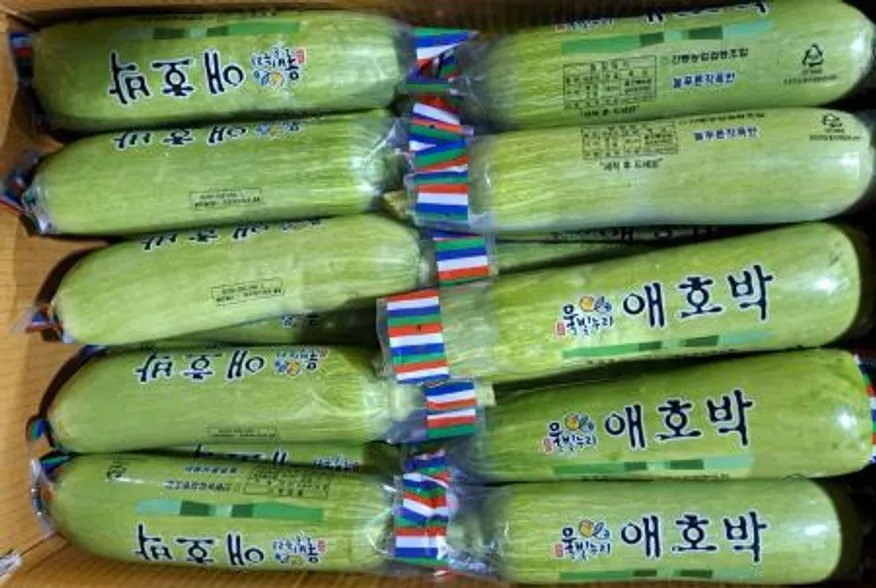 애호박(국내산)인큐 상품 못난이 20개/BOX 이미지